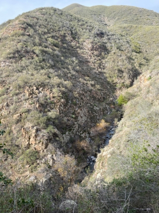 I took a short detour part way down a parallel canyon to check out the water we heard flowing there.
