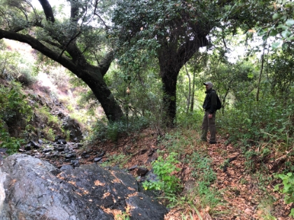 Dad's photo of me at the turnaround spot.