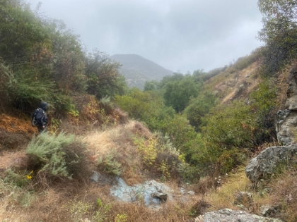 Almost down to the bottom of the canyon, and the trail is getting more and more rustic.