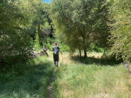 Heading down San Mateo Canyon almost to Bluewater. It's green, grassy, and getting overgrown in places.