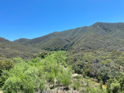 I love the green canopy above the creek winding down the bottom of the canyon.
