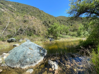 I continued on for a little ways trying to find Portero. The trail got really narrow along the bank of the creek. Either I lost the trail, or it was getting near impossible to follow, so I headed back to Dad.