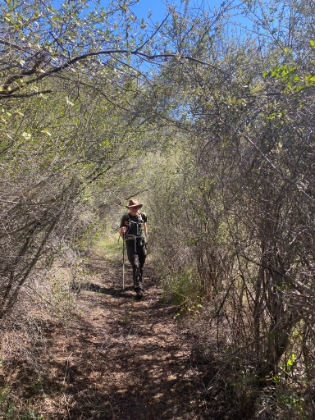 One of the many nice foliage tunnels along the way.