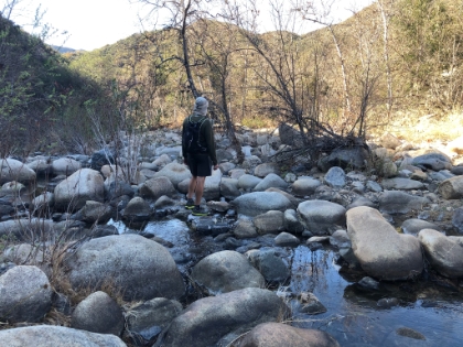 I hopped across the creek for a second to check out the junction of the San Mateo and Tenaja trails on the other side.