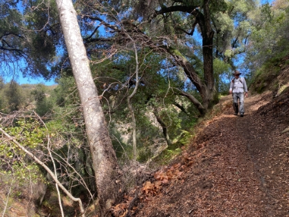 Miles of fantastic singletrack, perfect weather, and we only saw a few people all day.