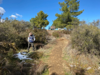 Snow right at the trailhead at only 2,800'!