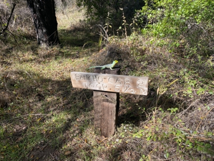 The first of many dinosaurs along the trail.