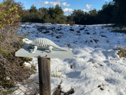 Dinsoaur in the snow.