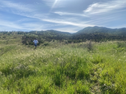 A little overgrown in places. Perfect.