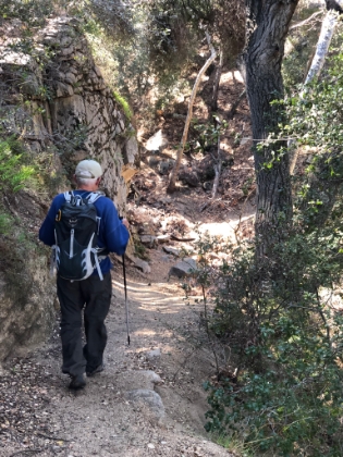 Beautiful single track with overhead coverage almost the entire way.