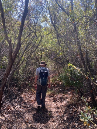 Almost down to the bottom of Lucas, and the trail is getting really nice. A little bit further, and I had what was unquestionably my closest rattlesnake encounter of all my miles on the trail. I stepped over a little bump in the trail and landed with my left foot directly alongside a brown rattler. It immediately coiled up underneath me and started rattling like crazy. My right foot froze just before stepping on it, and I hopped away thinking for sure I was going to get struck as I moved. But somehow I didn't. The snake went off into the brush rattling like crazy for a while. We definitely scared the heck out of each other. That was a close one. Whew!