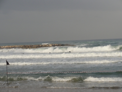 A local surf sport in Tel Aviv.