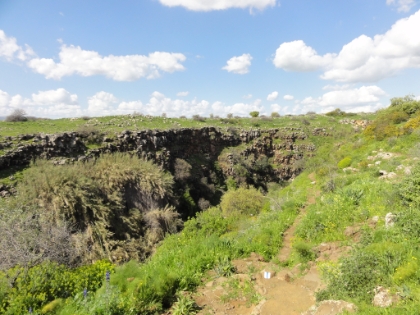 At the rim of the canyon that holds Zavitan Fall.