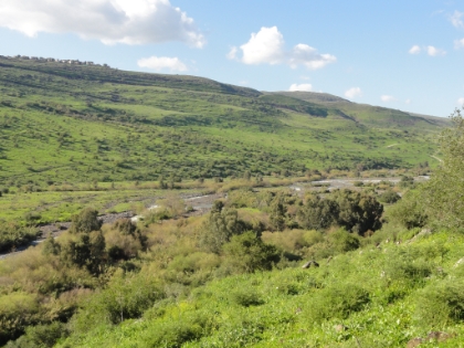 A look down at the Jordan River just before it empties into the Sea of Galilee.