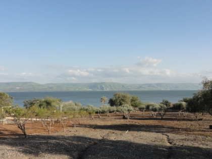 After finishing the trail at the Jordan River, I hop back into the car and am determined to get right down to the shoreline of the Sea of Galilee. After a couple failed attempts, I end-up at Capernaum. As with most of the stops I made, I had no idea about its significance until I ended-up there and read about it. Jesus lived and fished here. This is where he appeared to have walked on water and not far from where he gave the "sermon on the mount". Pretty cool.