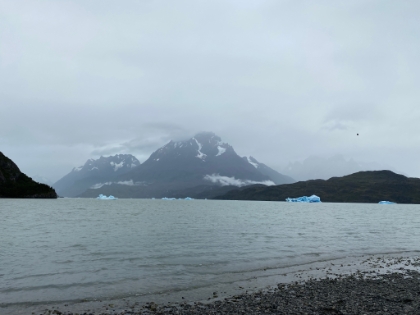 We walk down to the beach of Lago Grey. There's a number of good sized icebergs floating in the lake.