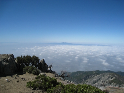 Some amazing views above the marine layer on top of Cucamonga Peak.