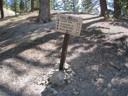 Start of the Three T's trail. This sign was almost completely covered in snow the last time I was here.