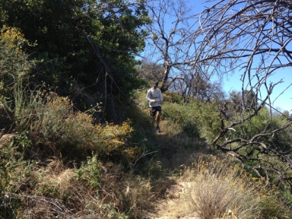 Heading down into the Millard Canyon, the "trail" doesn't look much used or maintained at all. I love this type of trail, but I'm not so sure Dr. Rock does.