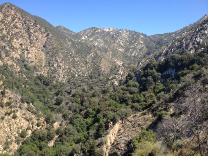 Heading deep into the canyon.