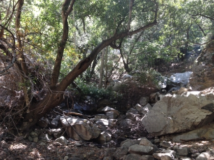 Made it to the bottom of the canyon. Here the trail completely dissapears. I search for a while and find absolutely nothing.