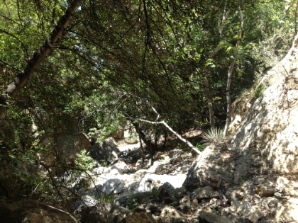 We came across someone else at the mine who said you could follow the creek bed all the way back down instead of taking the trail that we did. So we decided to give that a try.