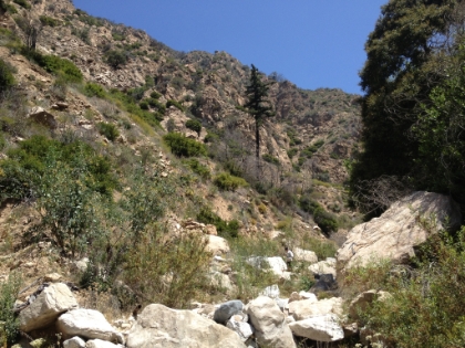 A look at Dr. Rock rock hopping down the steep creek bed.