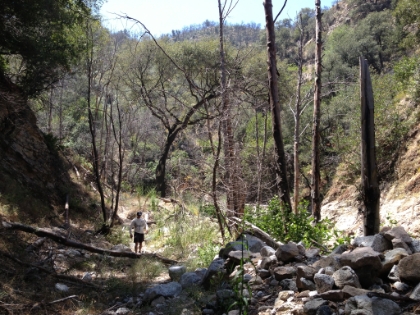 Dr. Rock working his way down the creek bed.