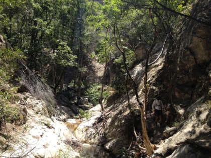 Great terrain and a bit of running water in the creek.