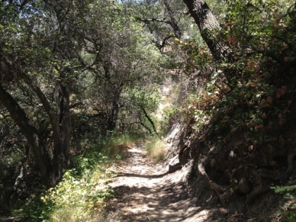 Some nice trail on the way down.
