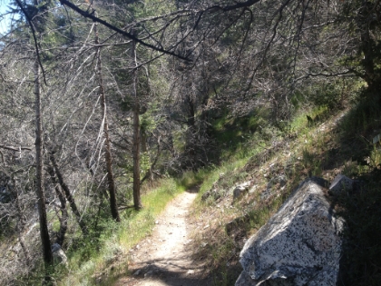 The top of the San Merrill trail has a section of awesome single track.