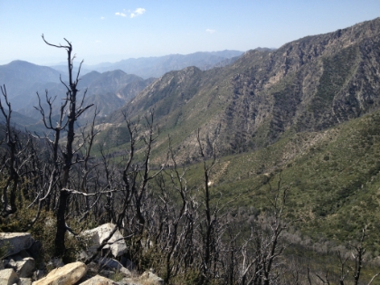 Coming down the West side of the Mt. Lowe loop (I came up the East side) looking down Grand Canyon (yes that is the real name).