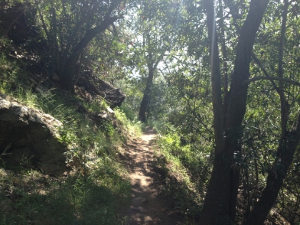 It's a beautiful, green canyon with some steep single track.