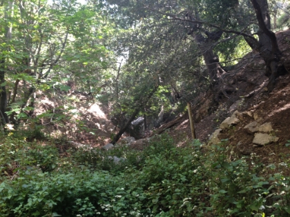 Almost back down to Echo Mtn. I had ran out of water with almost 5 miels to go, so the shade here is welcome. Below Echo Mtn, I came across a couple with a large dog, looked like a pit bull mix of some sort. It was suffering from heat stroke and was near death. The owners were looking for help carrying it down. So I helped carry the 90lb dog the last mile or so down the steep trail. I was sad for the dog and mad at the owners. A crazy way to end a tough run.