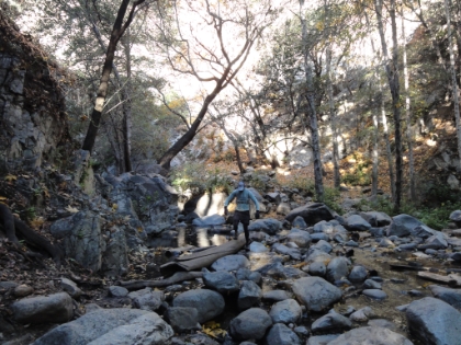 Dr. Rock making one of the many stream crossings along the trail. Dr. Rock loves stream crossings.