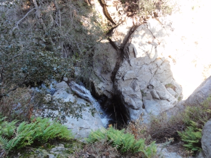 One of the many mini waterfalls above Sturtevant Falls.