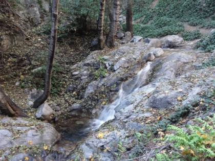 There are plenty of small cascades along the trail.