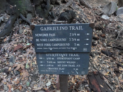 We take the trail less traveled to the top, via Newcomb Pass. Because Mount Wilson is not listed on the trail sign pointing East, and because that route is about 5 miles longer round trip, the vast majority of hikers head West. Definitely their loss because Newcomb Pass is one of the best sections of trail in Southern CA.