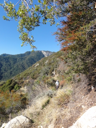 A change in vegatation and terrain with the first sighting of the observatory on the summit in the distance.