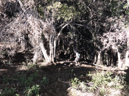 Dr. Rock powering up the switchbacks.