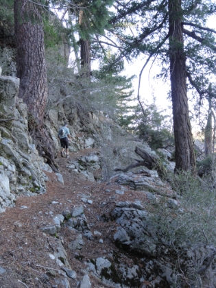 If you consider wide fire roads to be trail running, then this is not the trail for you!