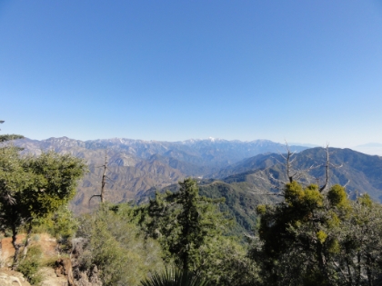 One of my favorite views in Southern CA, just below the Mt. Wilson summit. You can see Baldy, San Gorgonio, and San Jacinto all in one shot.