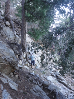 Is there something narrower than single track? Maybe half track?