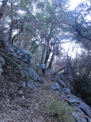 The trail starts to widen again and we make good time on the way down.