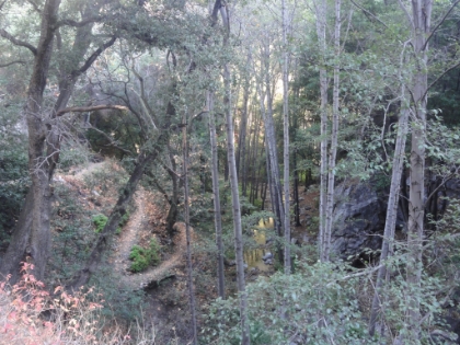 A look at the switchbacks heading down to the stream as we descend back into Santa Anita Canyon.