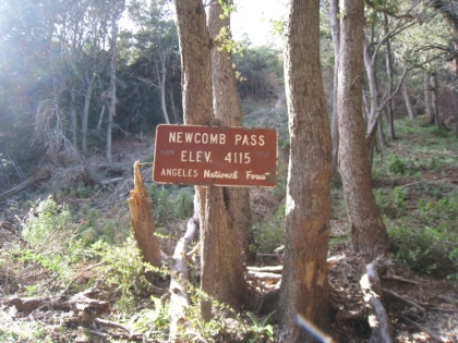 Made it to Newcomb Pass. 3.5 miles, and 1600', to go to the top. Judging by the topo, most of the elevation gain is in the last 2 miles, which should mean 600'+ miles, which is on the upper edge of runnable for me.