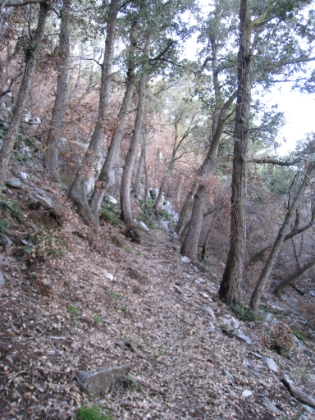 More amazing single-track.