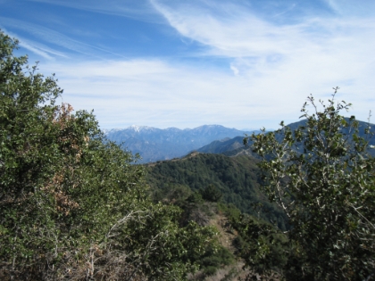 The trail briefly hits the top of the ridge and offers some amazing views. That's Mt. Baldy in the distance.