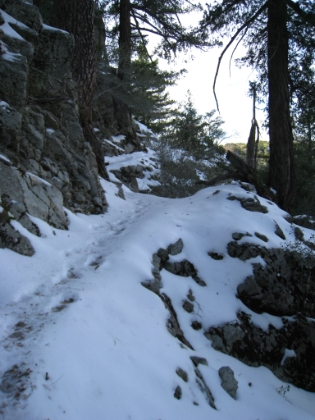 It doesn't get much better than this. And yes, I am still running on this trail.