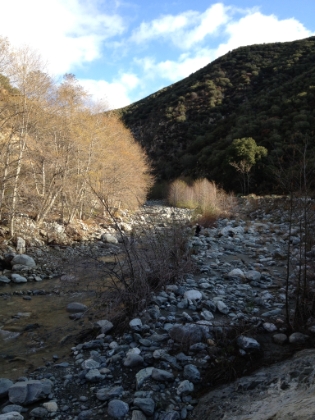 Beautiful trail along the river. There must be a lot of water flowing through here during a wet Spring.